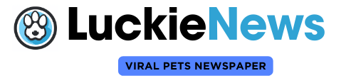 Luckie News | Viral Pets Newspaper